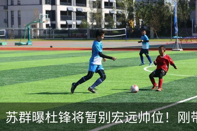 苏群曝杜锋将暂别宏远帅位！刚带队夺全运金牌，新帅人选引猜测